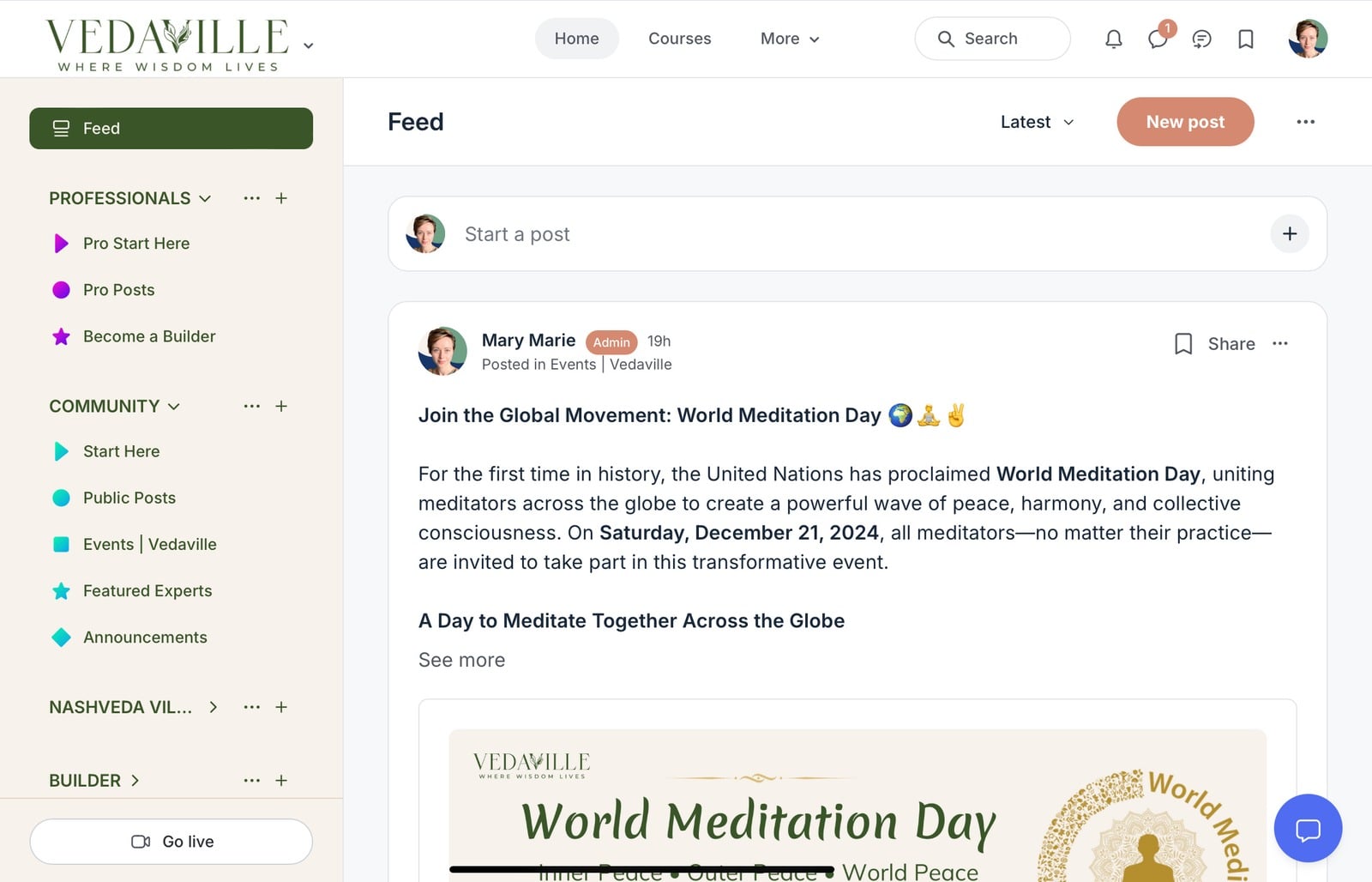 The Vedaville community feed on desktop
